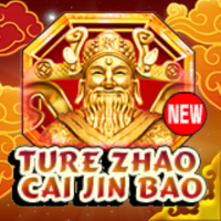 New True Zhao Cai Jin Bao